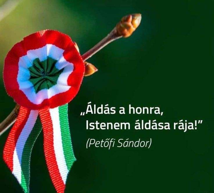 received_1142170833620717